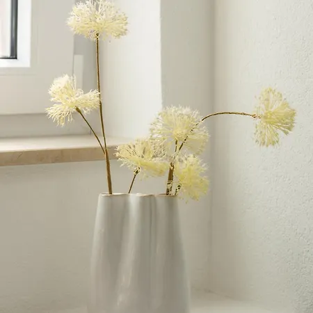 Hinterhof-juwel Mit Kueche Und Smart-tv *