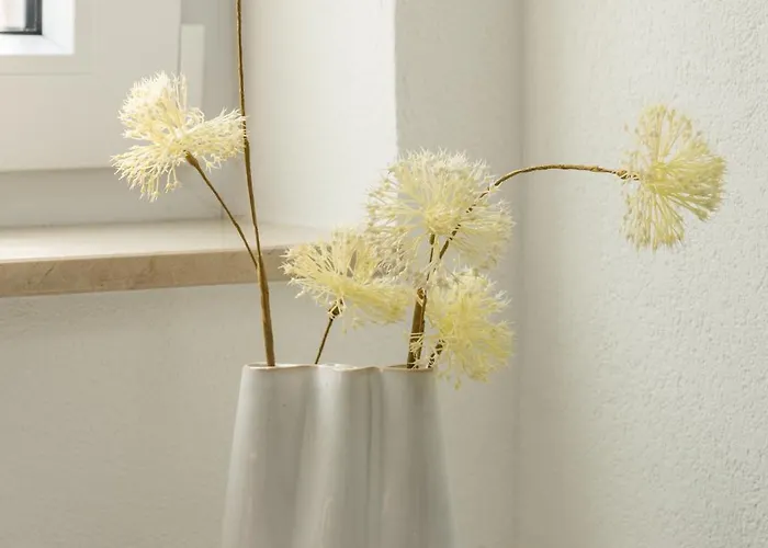 Hinterhof-juwel Mit Kueche Und Smart-tv *